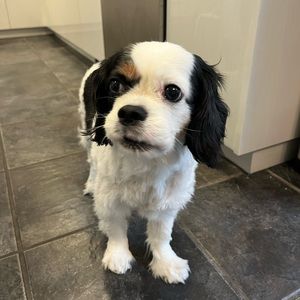 Meet your Posher, Annika